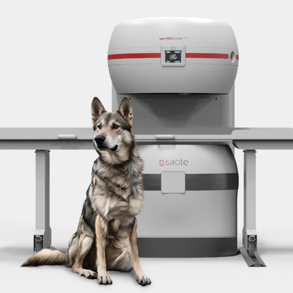 Equipamiento Imtrex
